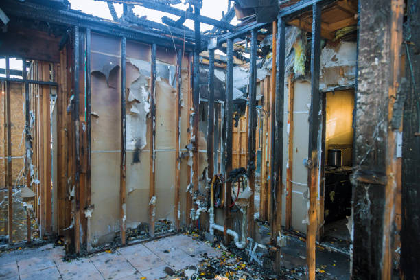 Professional Smoke Damage Removal technician working in Florida, FL