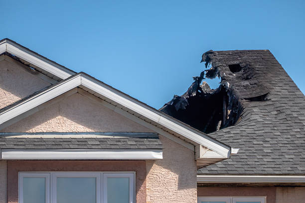 Top rated local Smoke Damage Removal specialists in Florida, FL